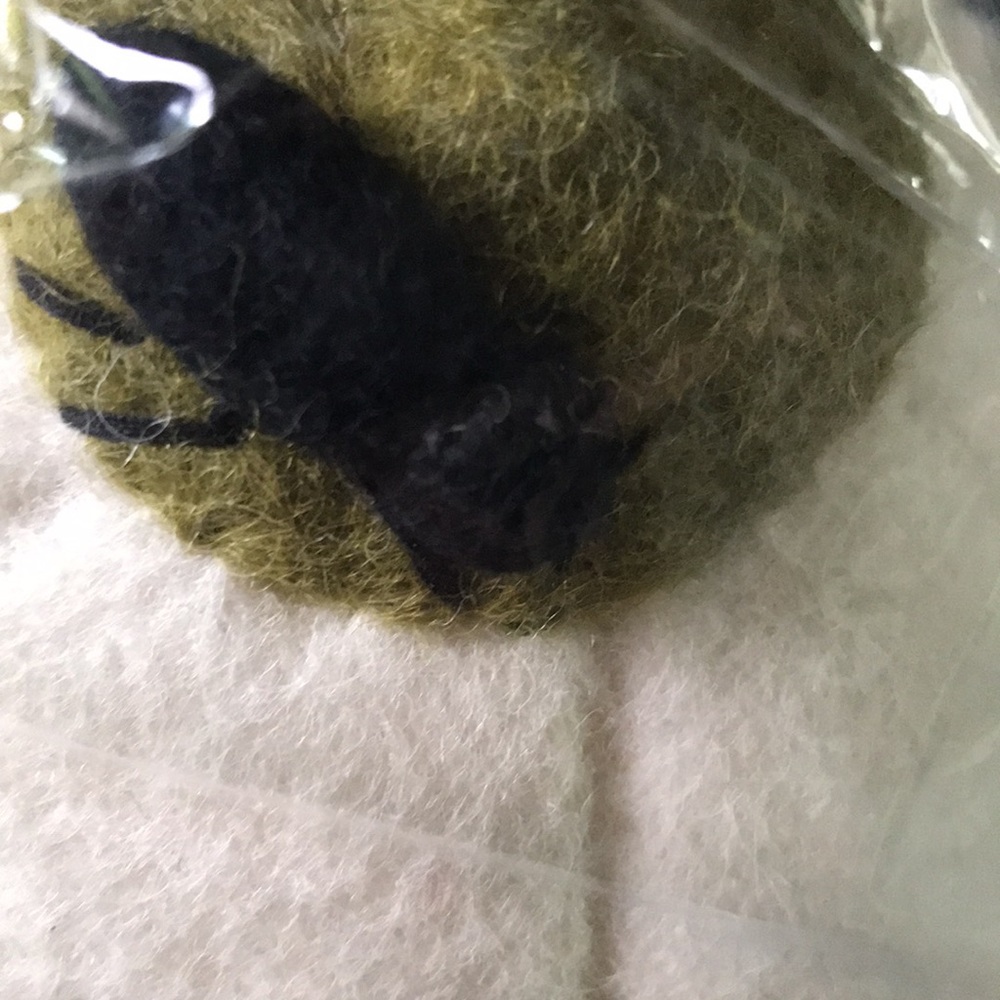 Pottery Barn kids Exclusive Handmade Wool Felt White Pumpkin with Spiders 🕷🎃 - Picture 9 of 14
